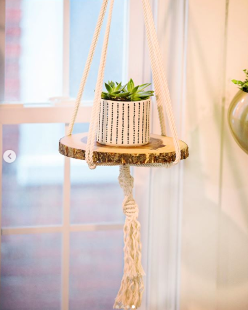 Plant hanger